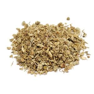 Blue Cohosh