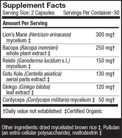 MycoBotanicals® Brain - 60 Vegetarian Capsules - Image 2