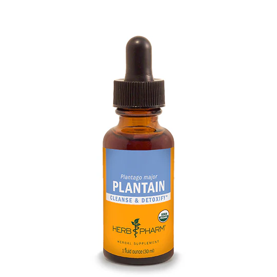 Herb Pharm® Plantain - 1 oz