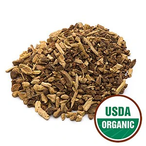 Sarsaparilla