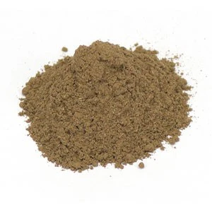 Squawvine Herb - Image 2