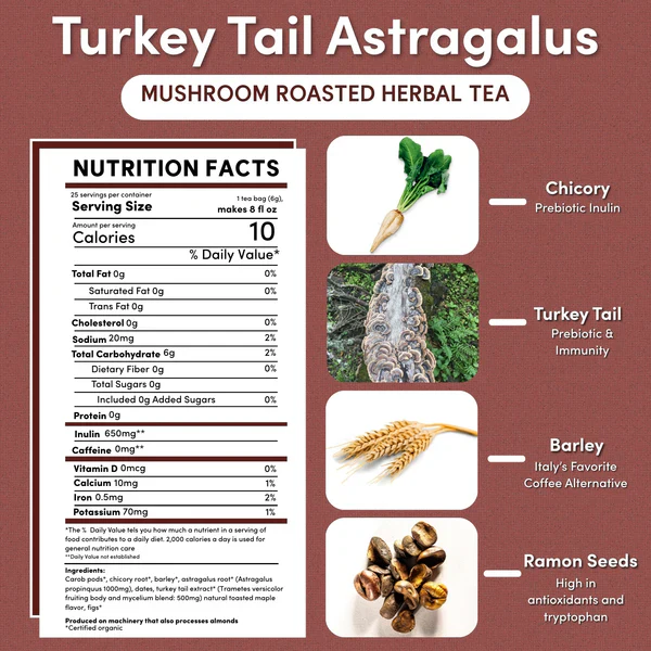Teeccino Turkey Tail Astragalus Herbal Tea 10 bags - Image 2
